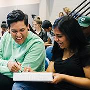 Link to CEII Lit Review Exectutive Sumamry PDF