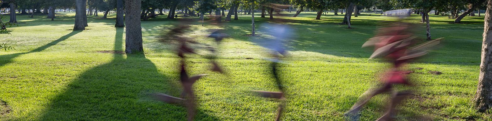 timelapse image of runners in a park