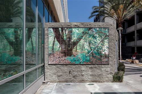 Image description is not available