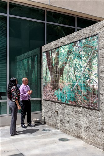 Image description is not available