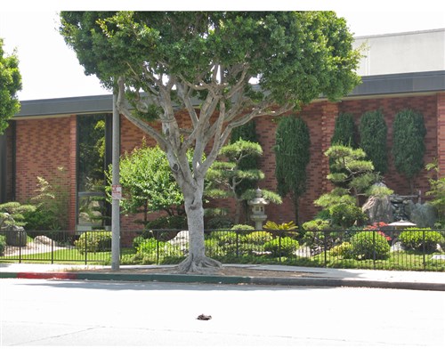 Image description is not available