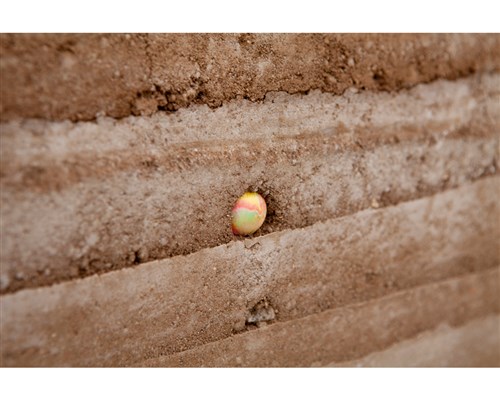 Image description is not available