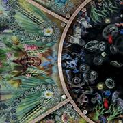 Workforce Demographics Survey