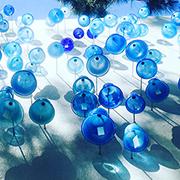 Workforce Demographics Survey