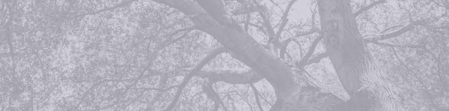 VIOLENCE, HOPE AND HEALING IN LOS ANGELES COUNTY 