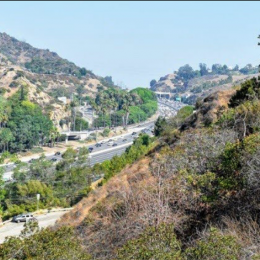 fordtrail2_871x471